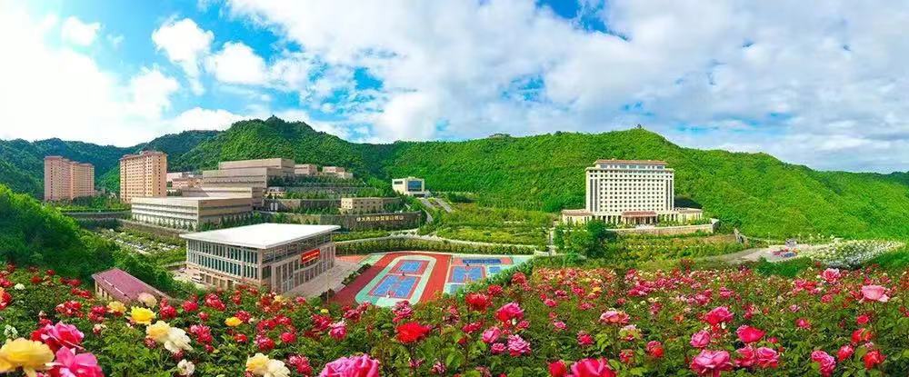 202406251719306303455794.jpg 12.jpg